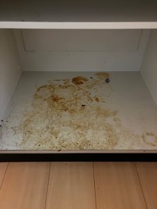 キッチン収納の汚れ